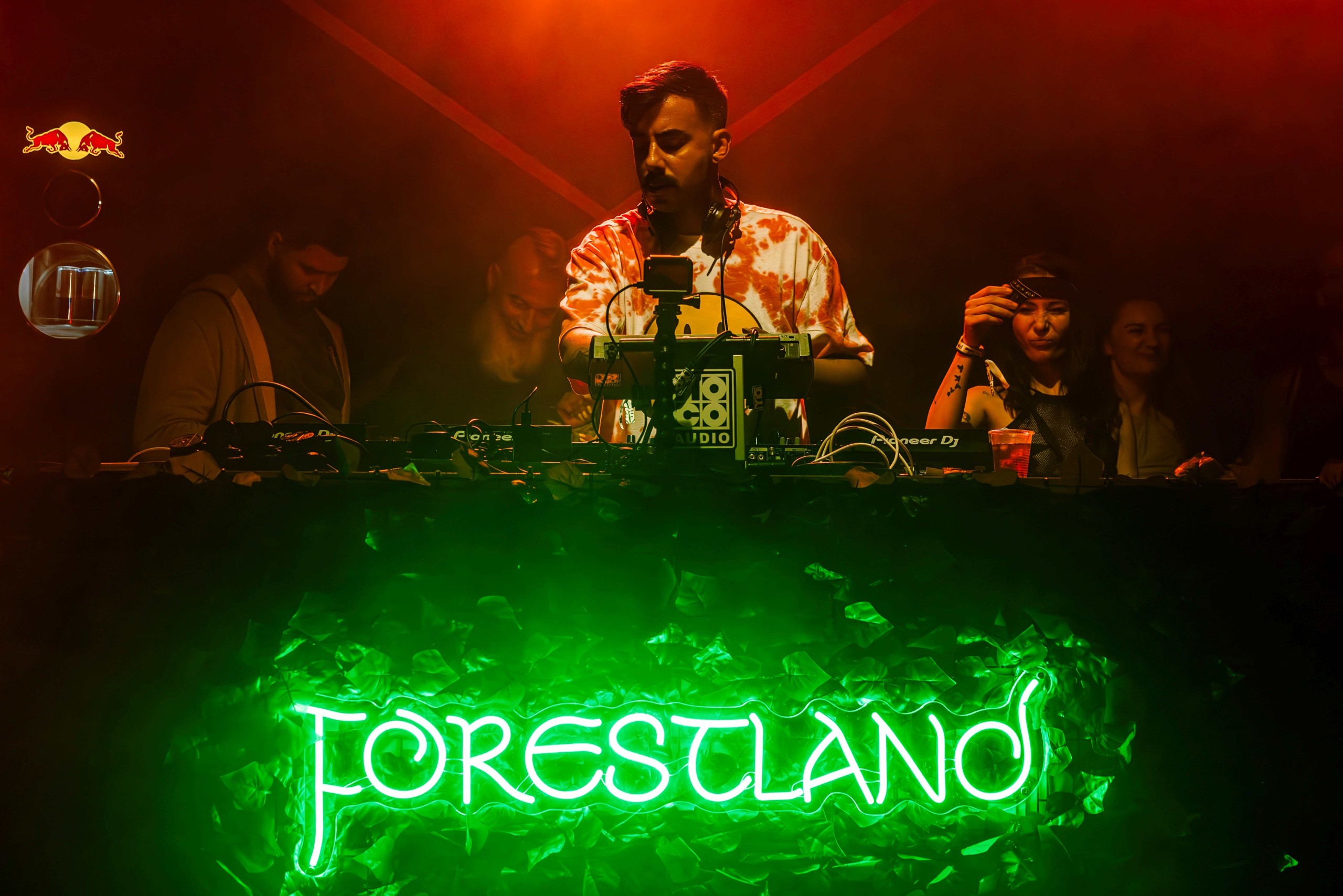 Forestland Festival / foto: Marko Obradovic Edge