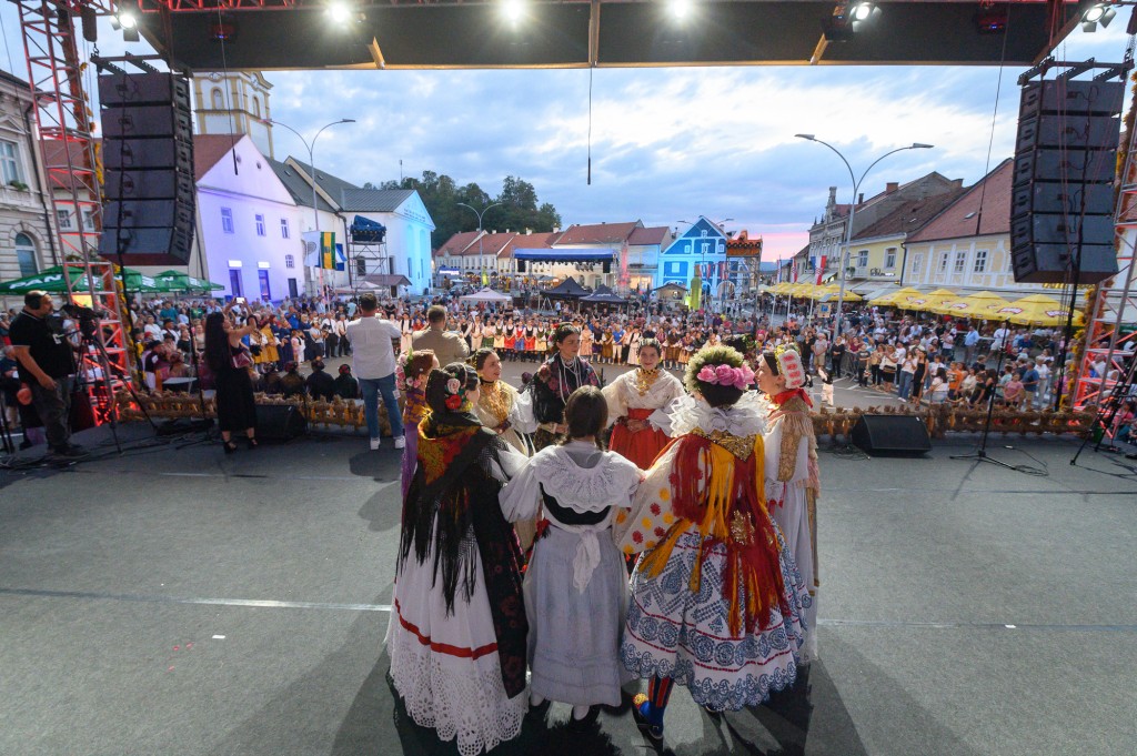 Zlatne žice Slavonije 2024.