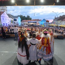 Zlatne žice Slavonije 2024.