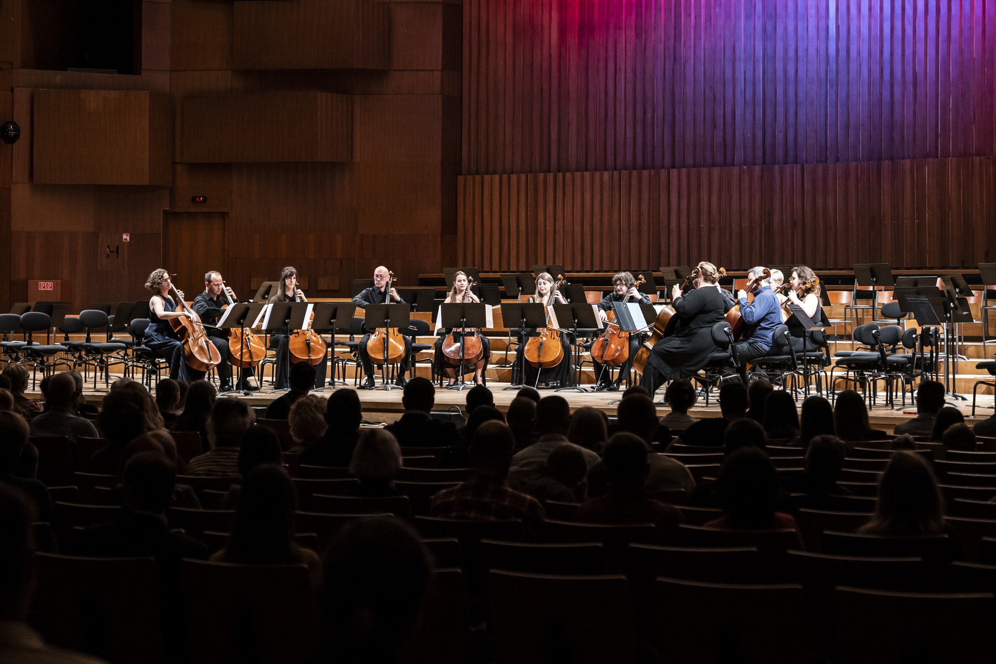 8. Međunarodno violončelističko natjecanje Antonio Janigro