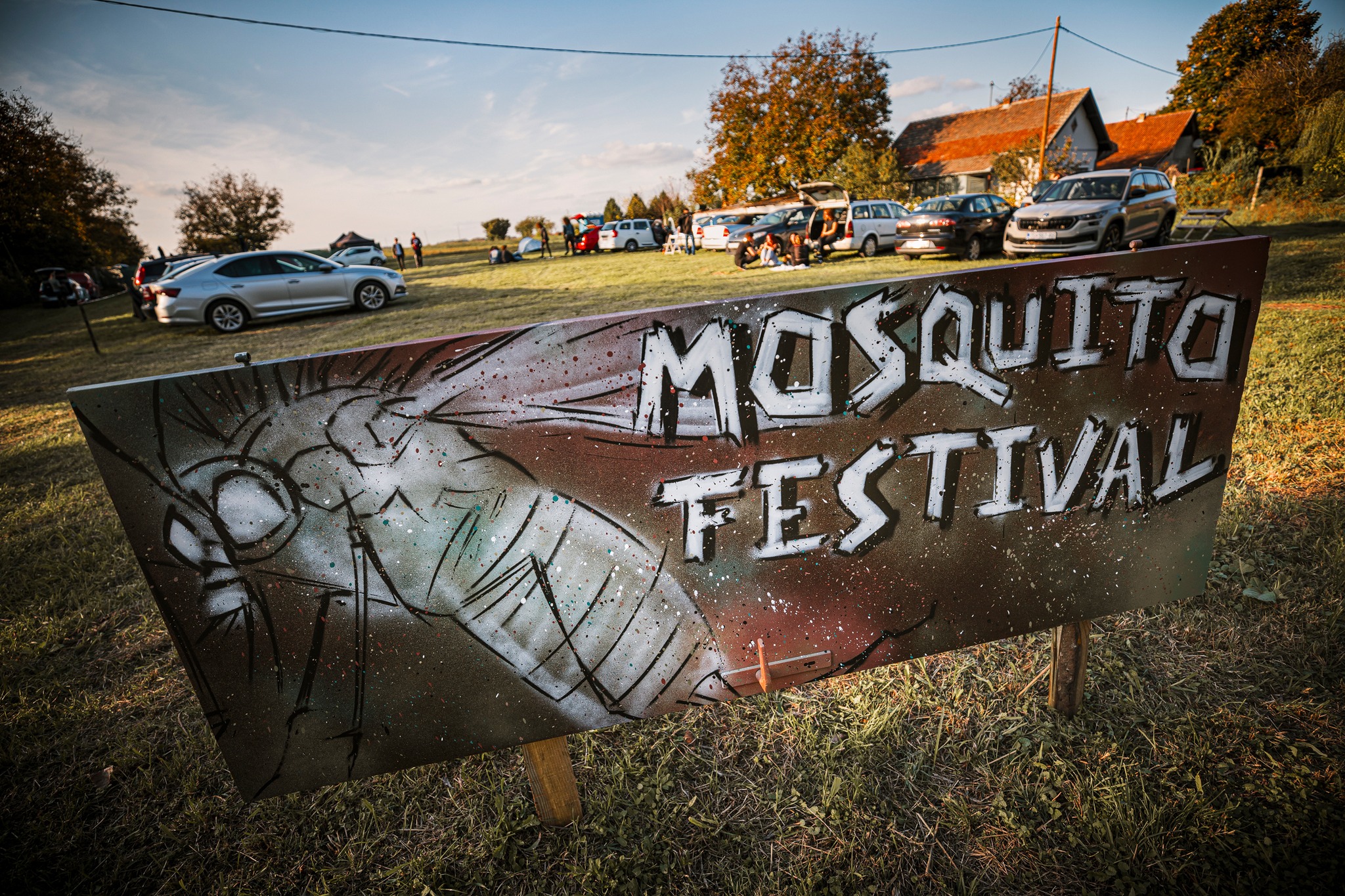 Mosquito festival / Roberto Pavić