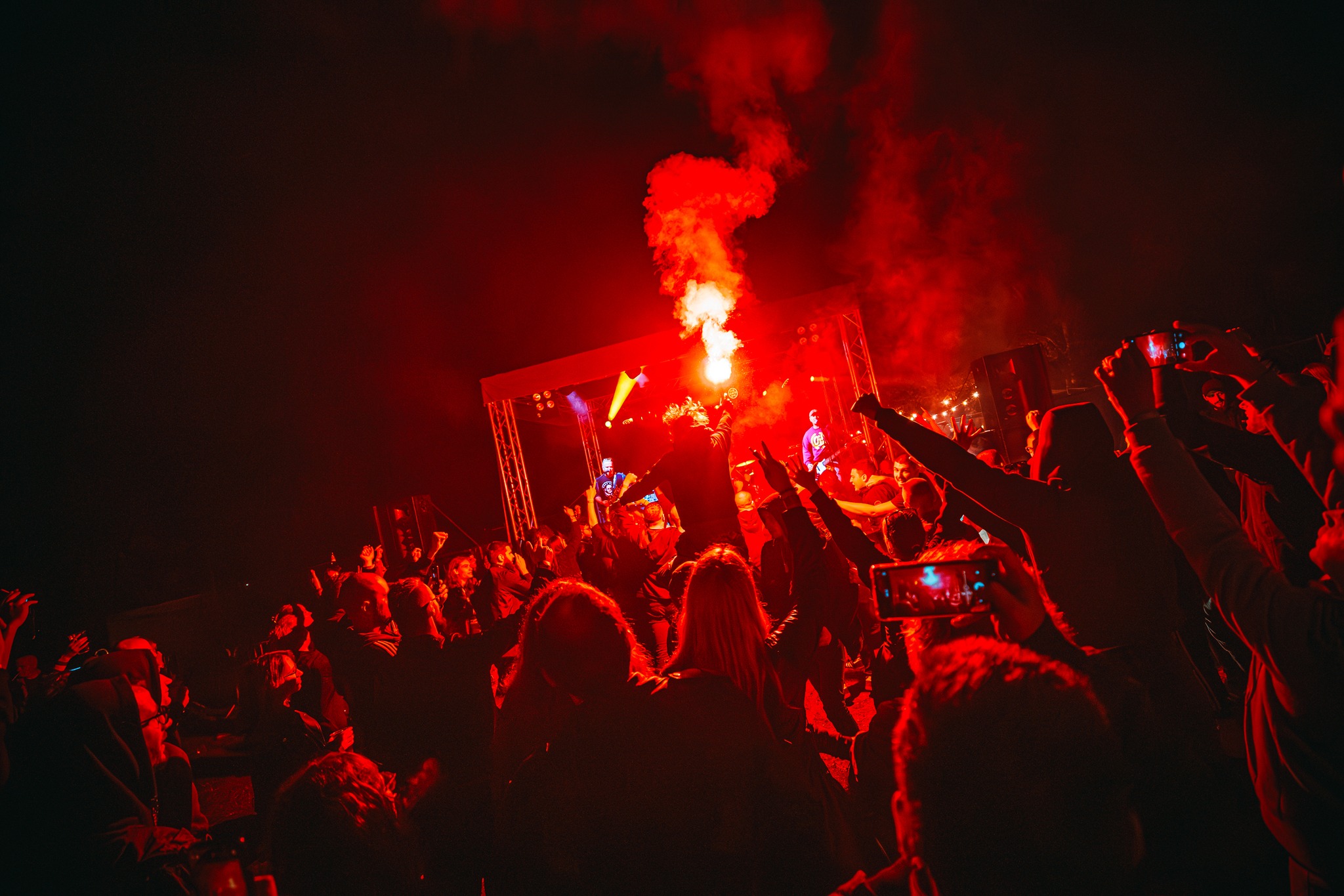 Mosquito festival / Roberto Pavić