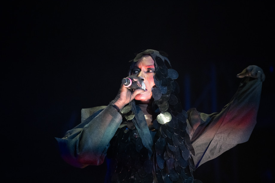 Grace Jones u Areni Pula / Foto: Davor Denkovski