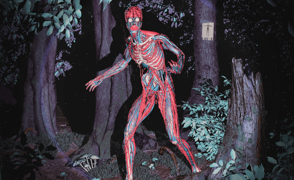 O sreći u snovima / press