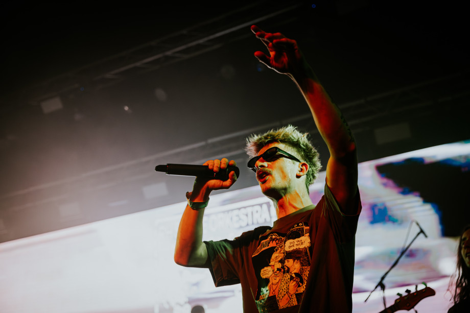 Bolesna braća u Boogaloou / Matej Grgić