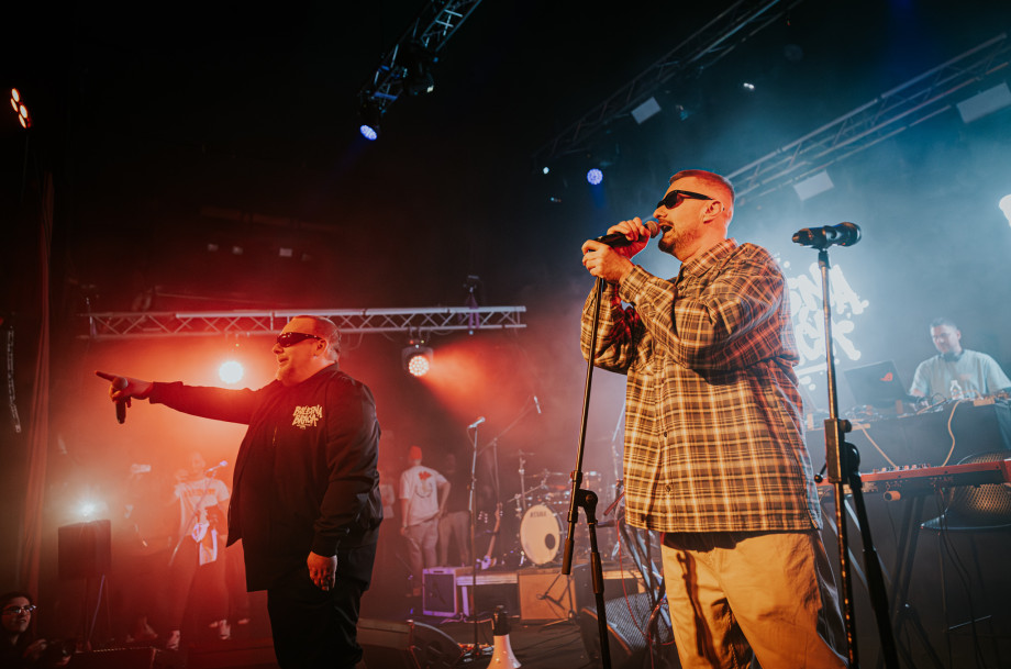 Bolesna braća u Boogaloou / Matej Grgić