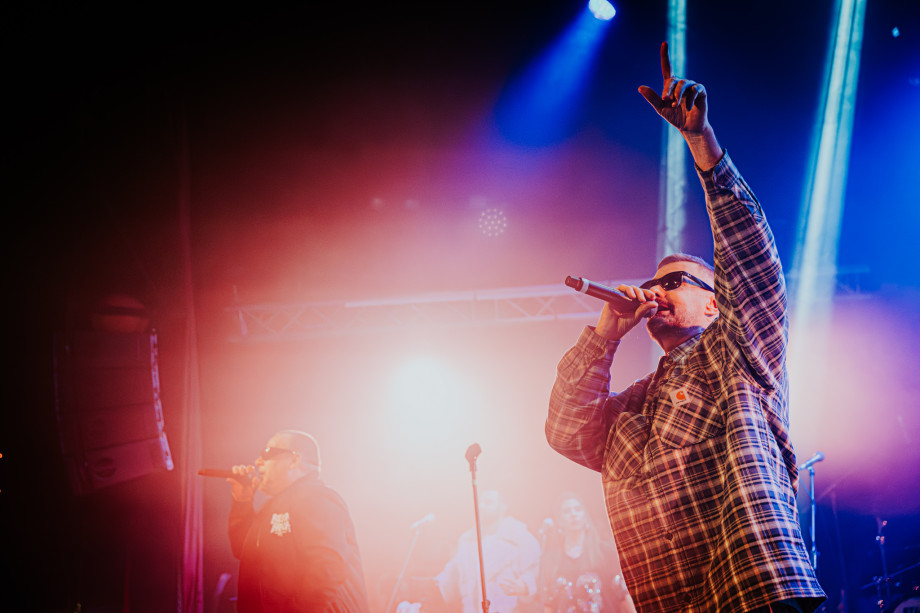 Bolesna braća u Boogaloou / Matej Grgić