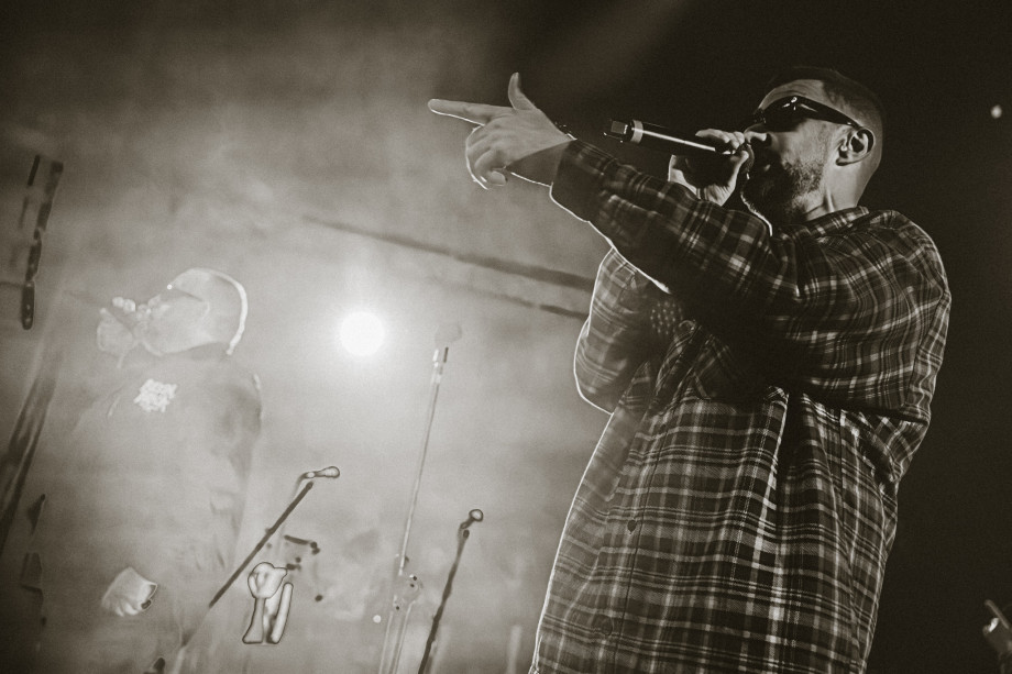 Bolesna braća u Boogaloou / Matej Grgić