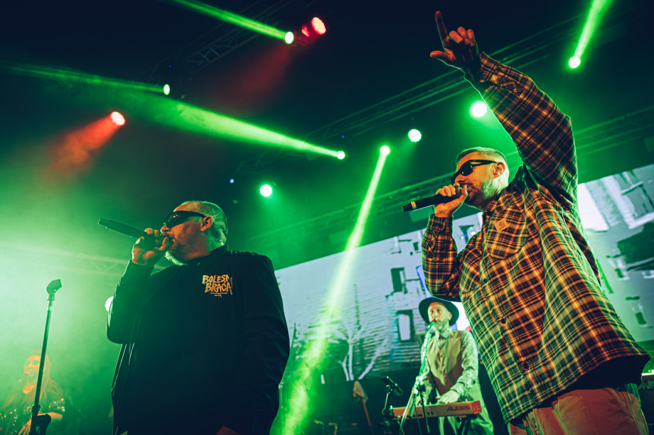 Bolesna braća u Boogaloou / Matej Grgić