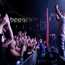 Krankšvester u Boogaloou