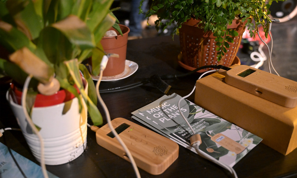 Exterminator 81 - biljke sviraju