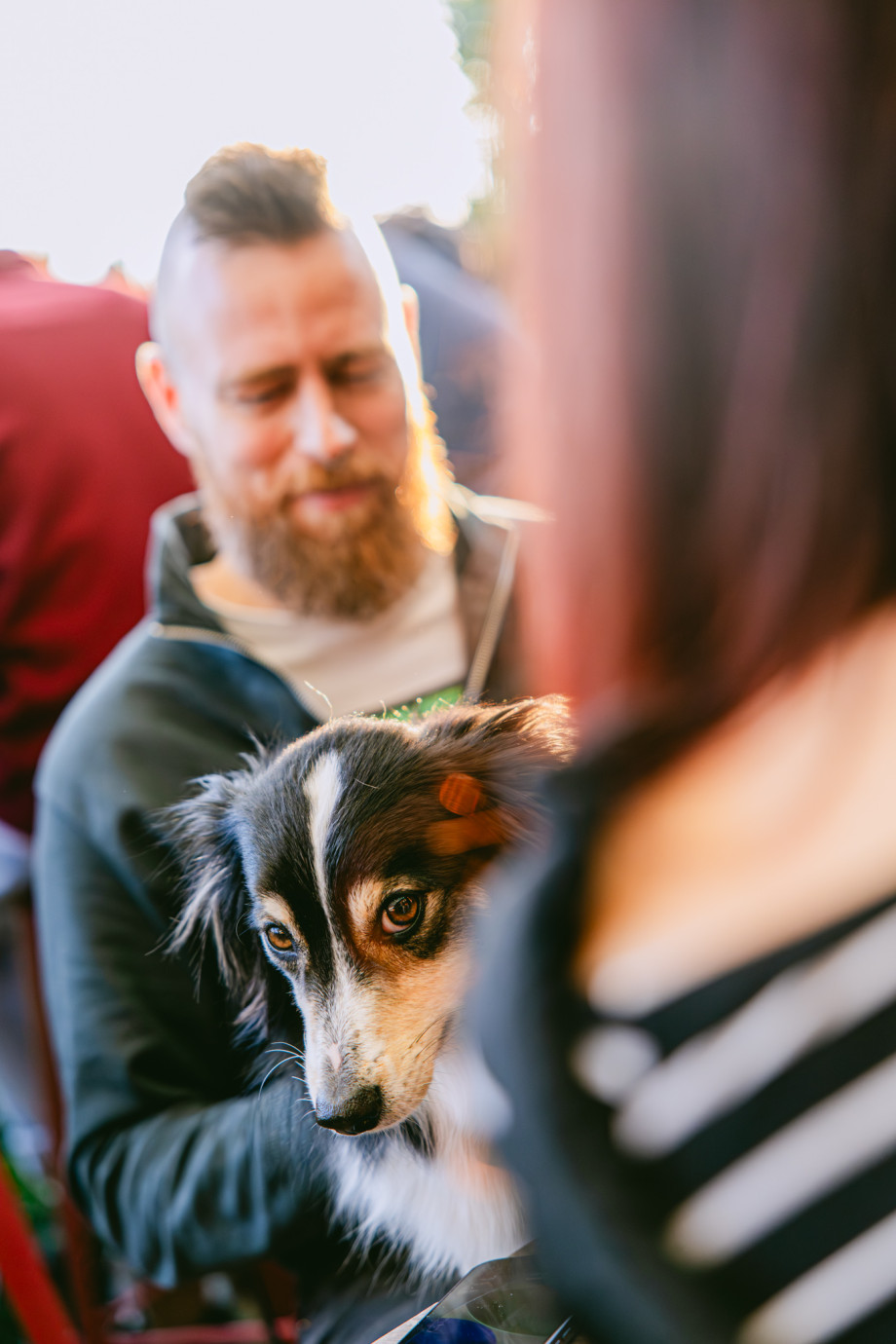 Domagoj Čavlek / Matej Grgić