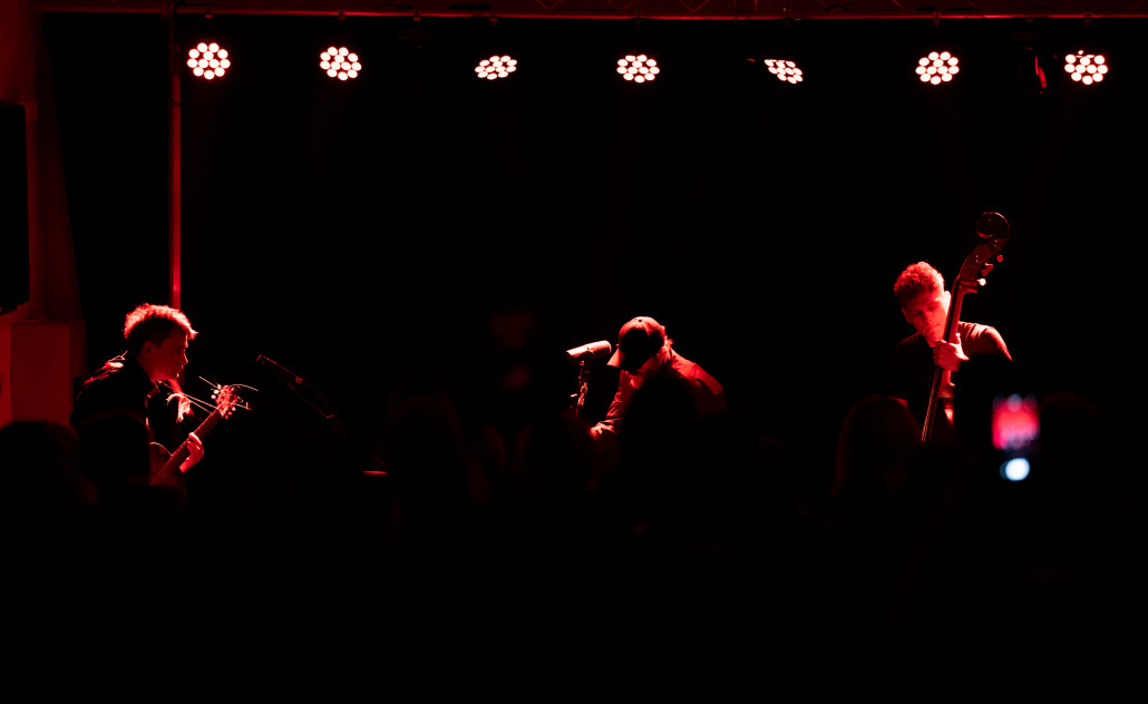 još gori, kuća ta,bure, slavonski brod, sinkauz