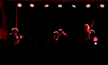 još gori, kuća ta,bure, slavonski brod, sinkauz