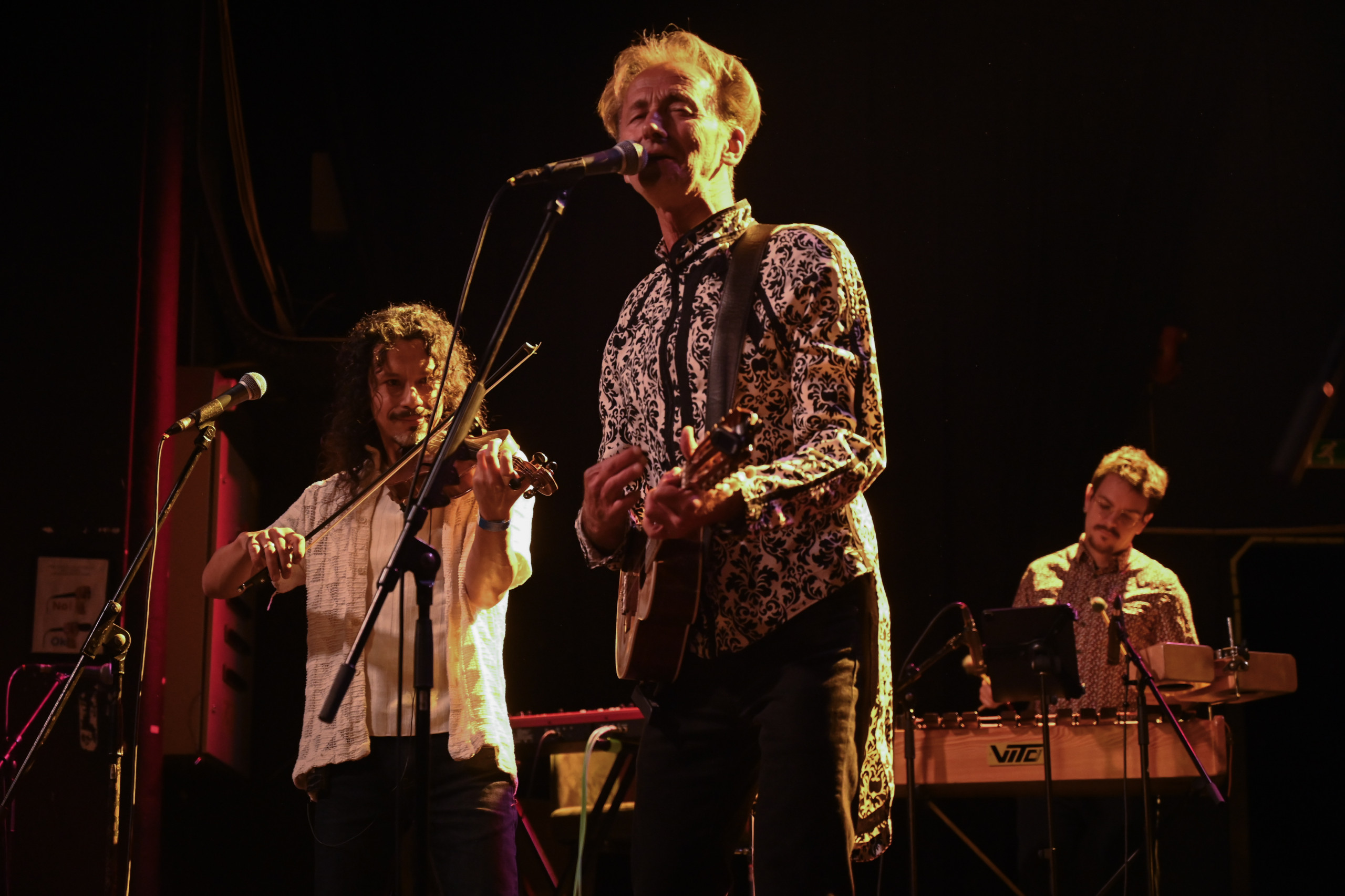 Plesač sporog stepa