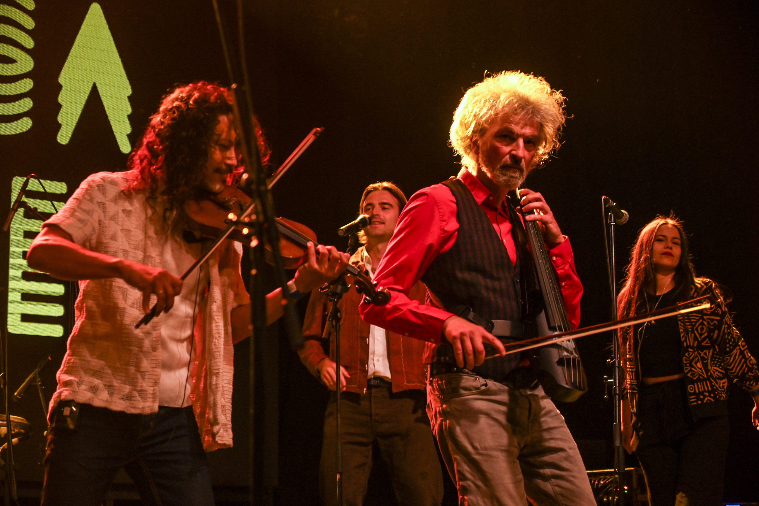 Plesač sporog stepa