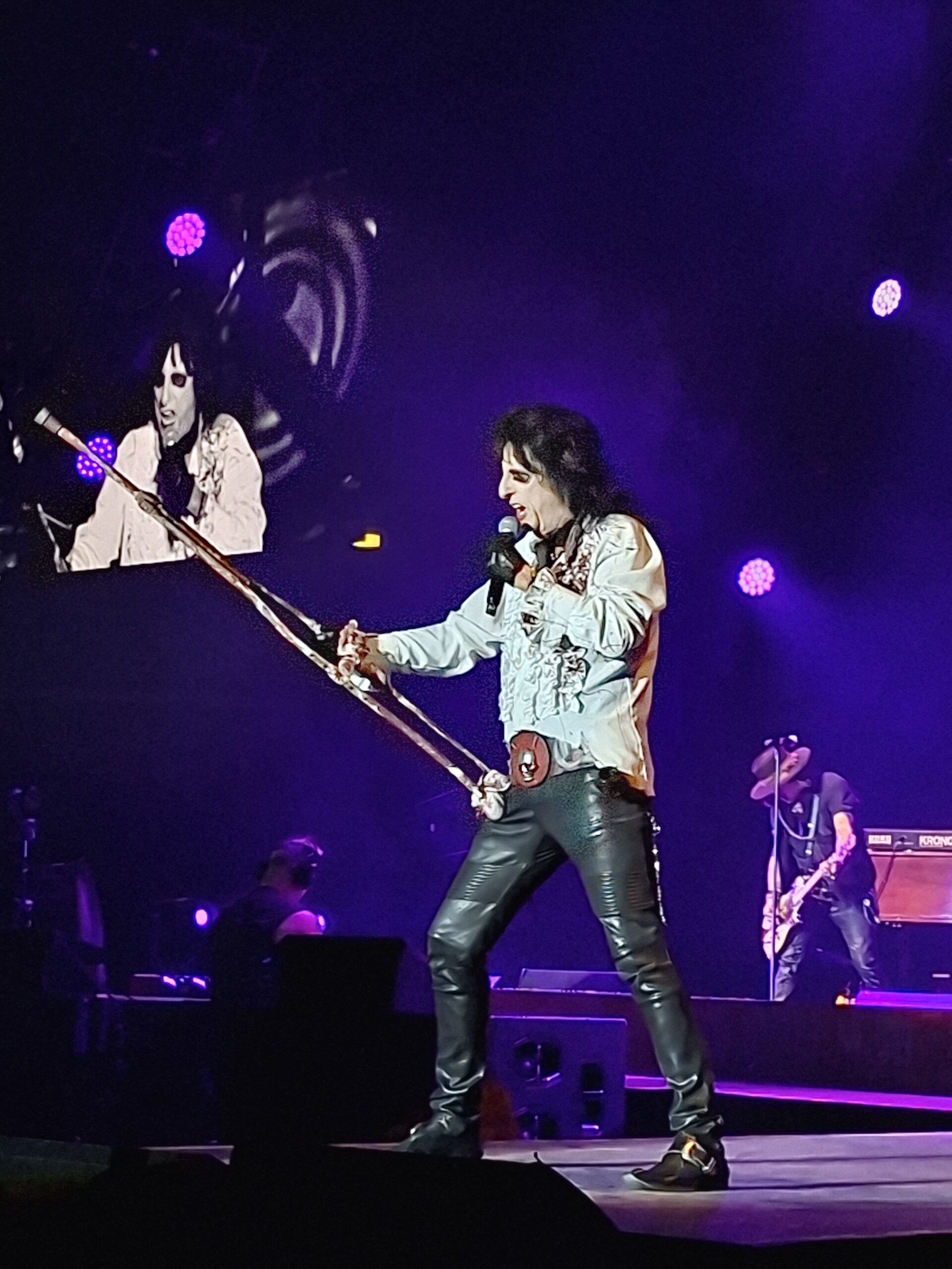 Hollywood Vampires
