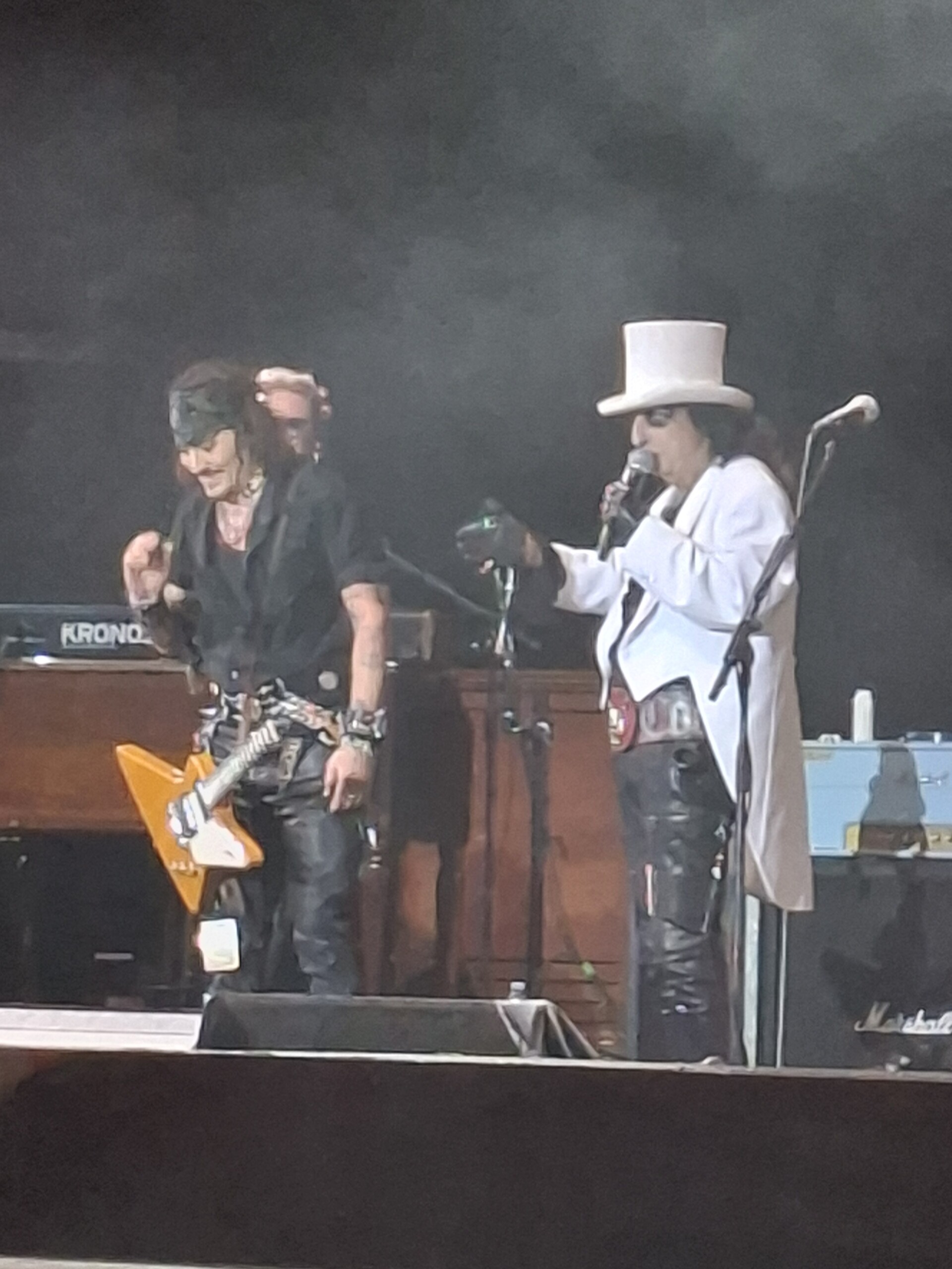 Hollywood Vampires