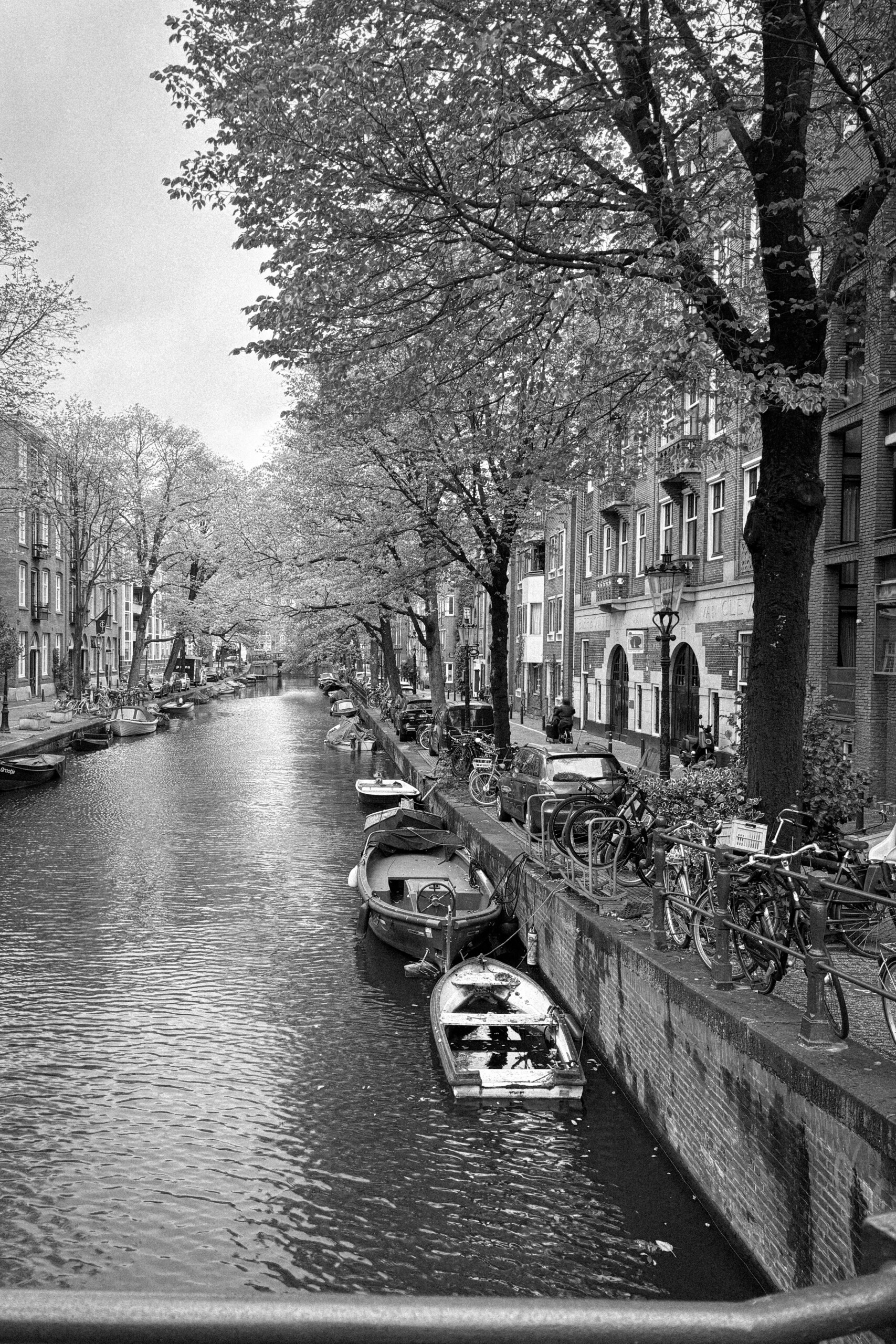 Amsterdamskim ulicama / Alma Drnovac